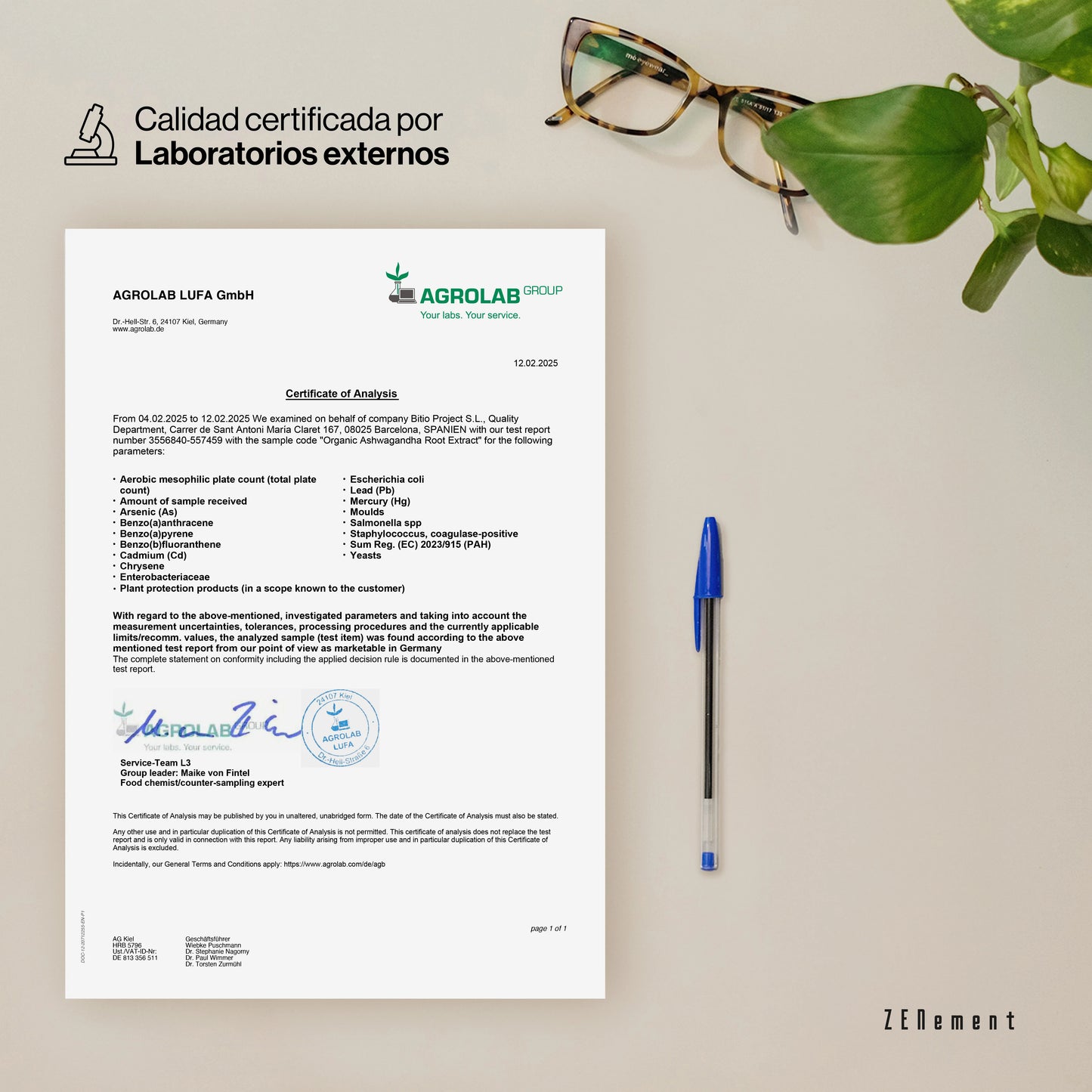 ZenVex | Ashwagandha ksm-66 120 capsulas